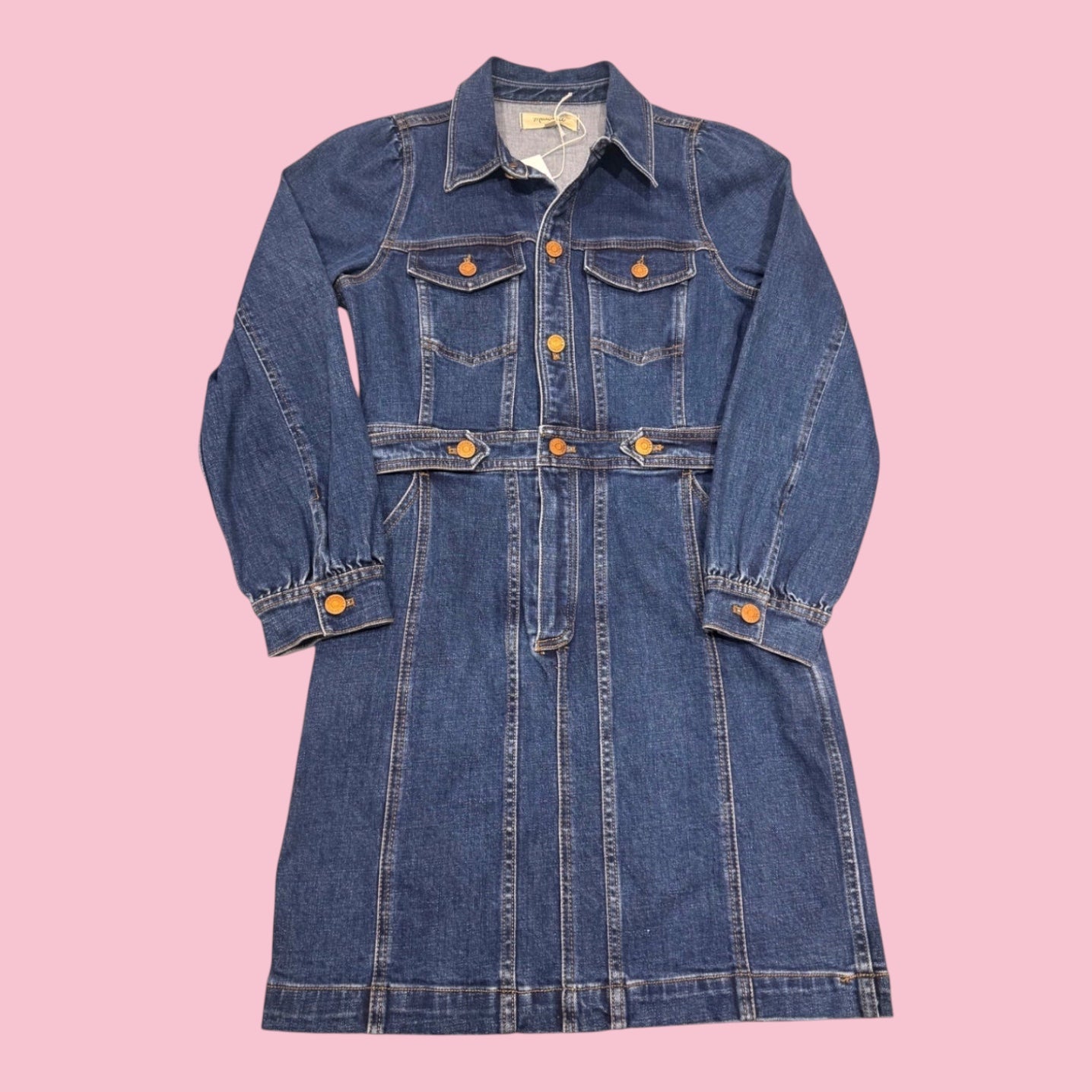Blue Greenie denim jean dress with long sleeves, button-up front, and needlepoint detail on the back.